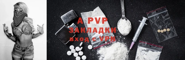 шишки Абаза