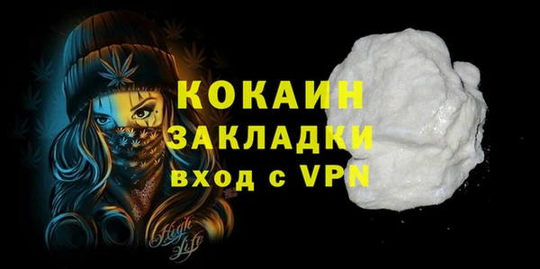 шишки Абаза