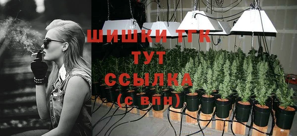 шишки Абаза