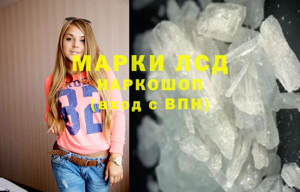 шишки Абаза