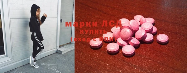 шишки Абаза