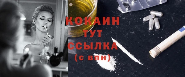 шишки Абаза